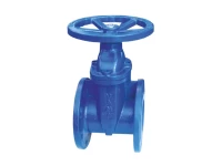 F4 Type Resilient Seated Gate Valve gallery image 1