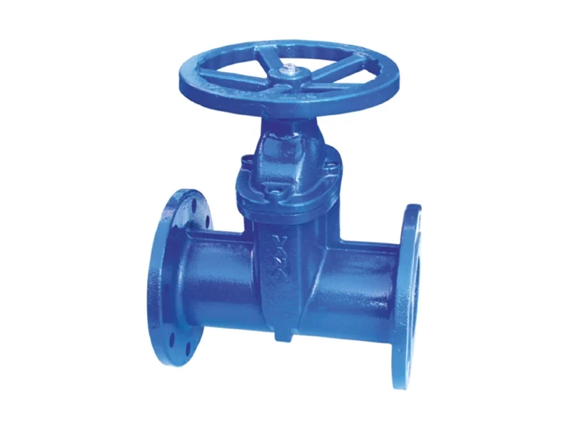 F5 Type Resilient Seated Gate Valve gallery image 1